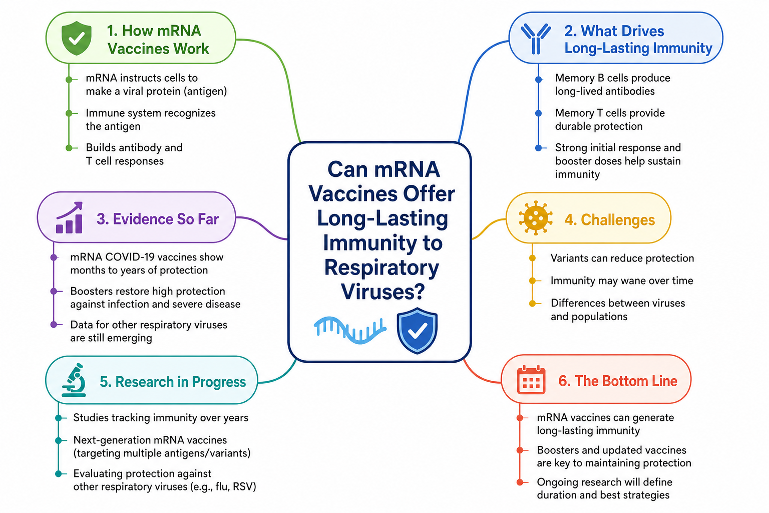 Can mRNA Vaccines Offer Long-Lasting Immunity to Respiratory Viruses? mind map